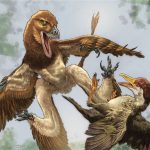 article image - 